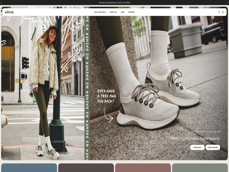 Allbirds online store homepage